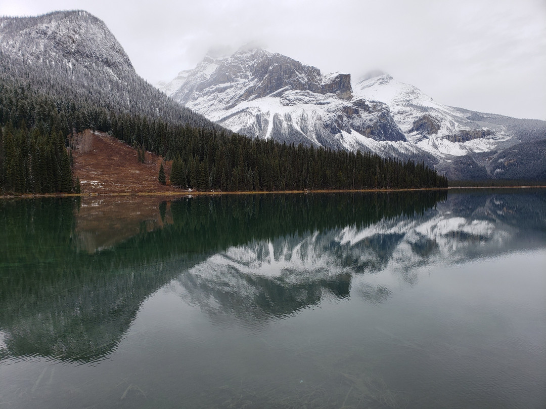 Go Calgary Shuttles-卡尔加里必去景点