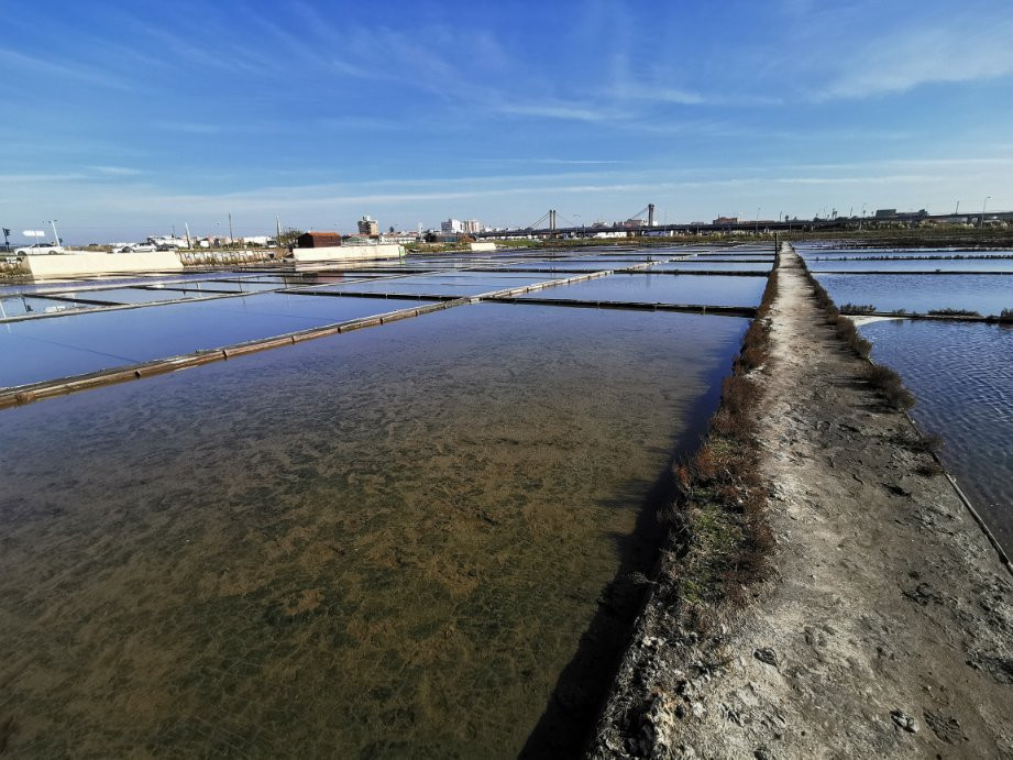 Ecomuseu Marinha da Troncalhada景点图片