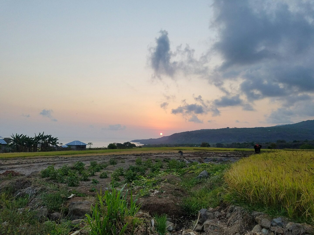 Wae Rebo Village景点图片