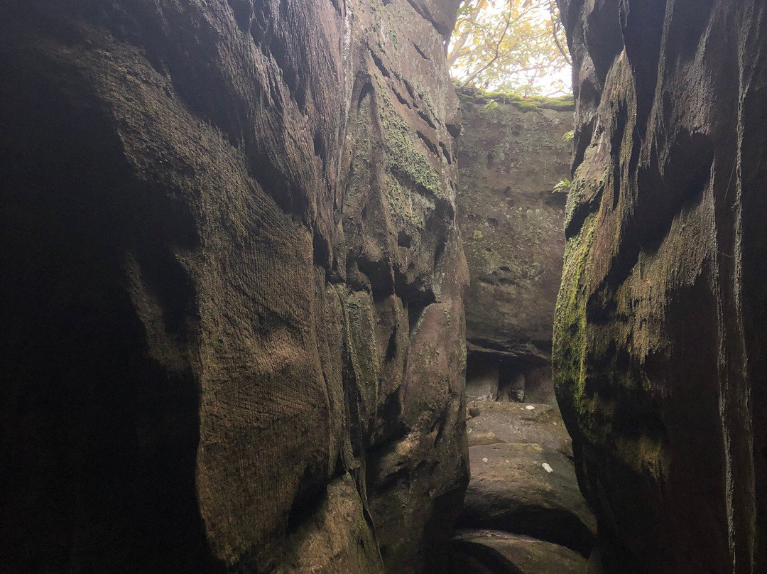The Channels Natural Area Preserve-弗吉尼亚必去景点