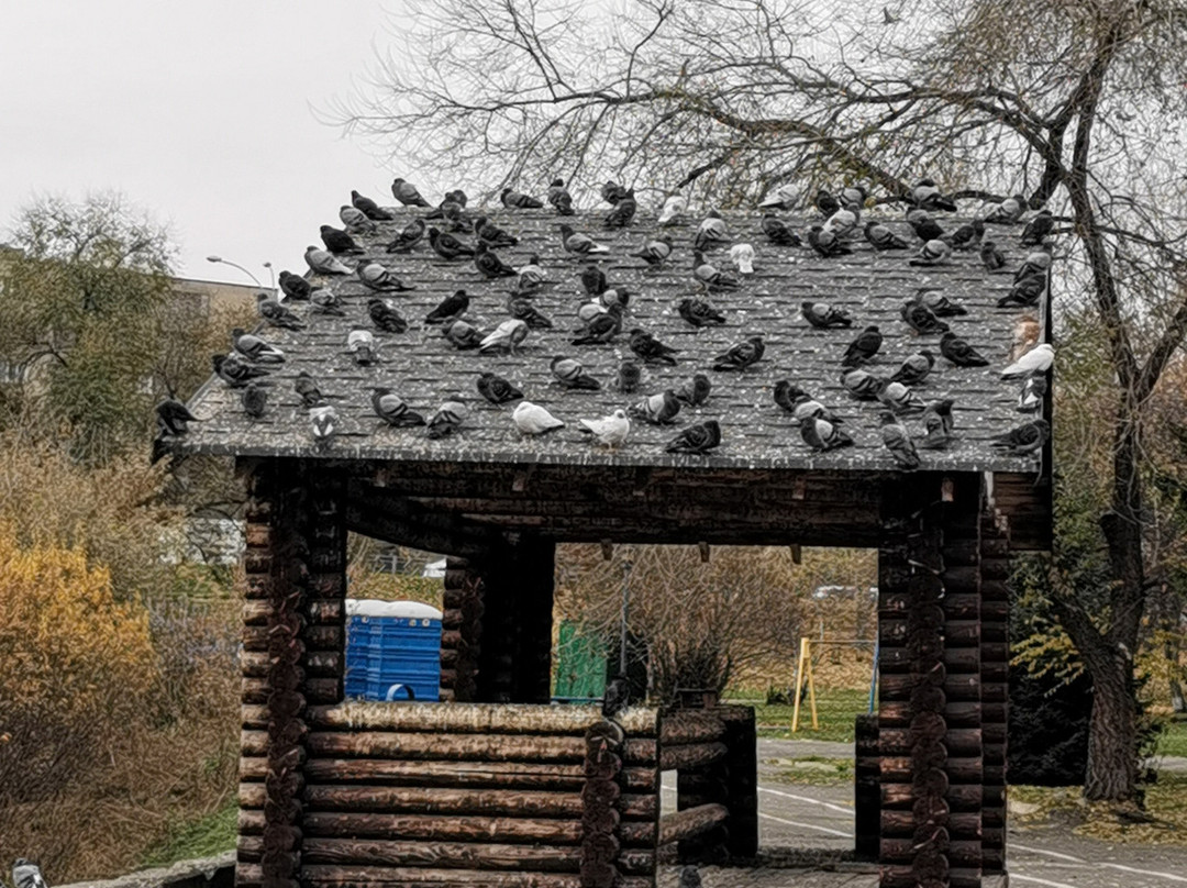 Antoshka Park-克麦罗沃必去景点