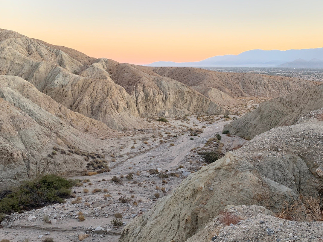 Covered Wagon Tours-棕榈泉市必去景点