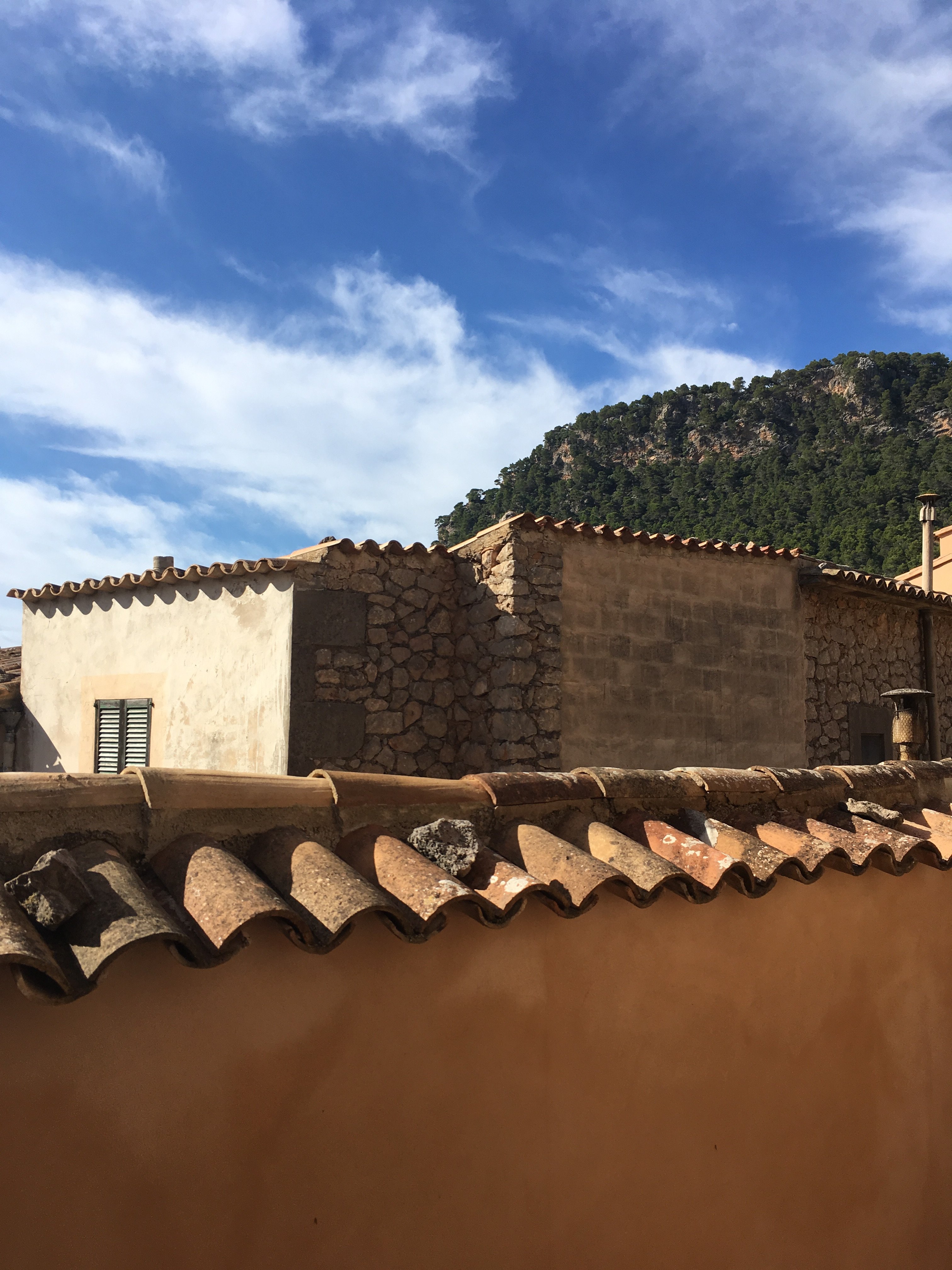 Marton Hotel Valldemossa-酒店景观