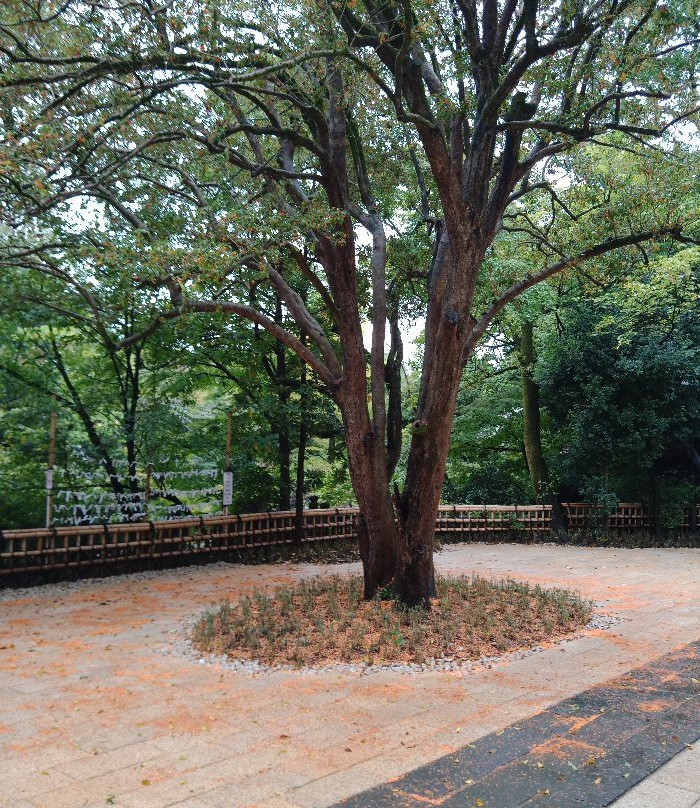 Jindai-ji Temple Ganzandaishido-调布市必去景点