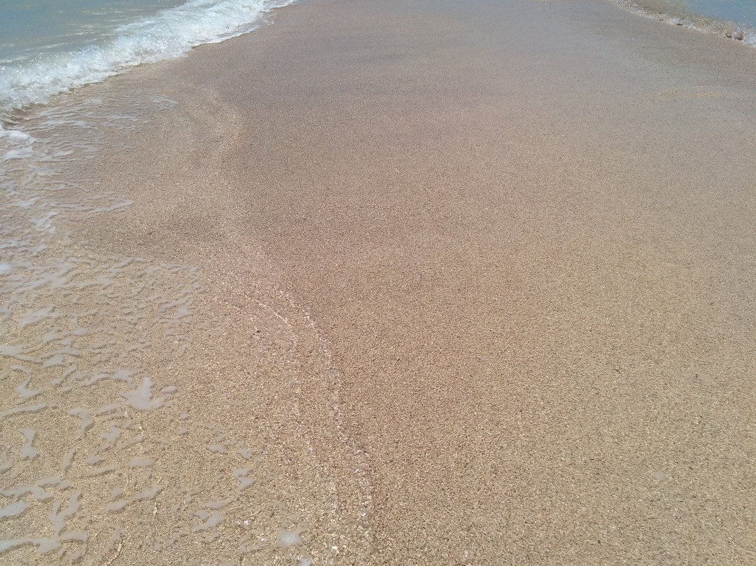Piscinas Naturais de Barra Grande-Barra Grande必去景点