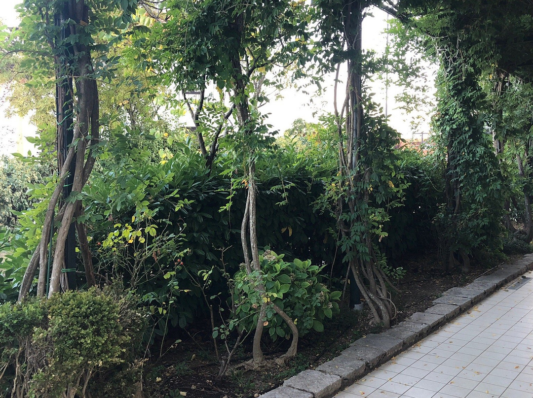 Hotel Colucci主图