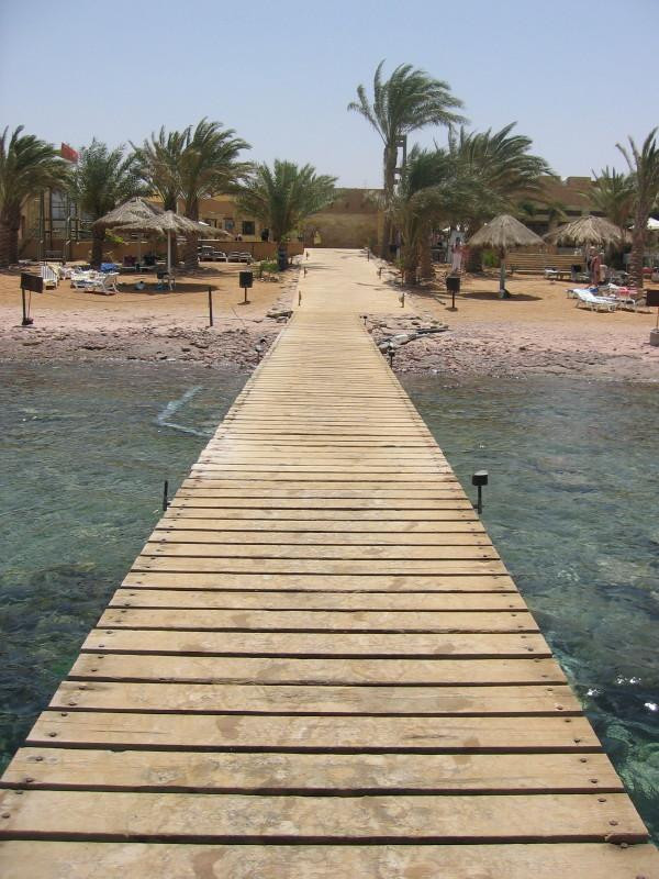 Royal Diving Centre-亚喀巴必去景点