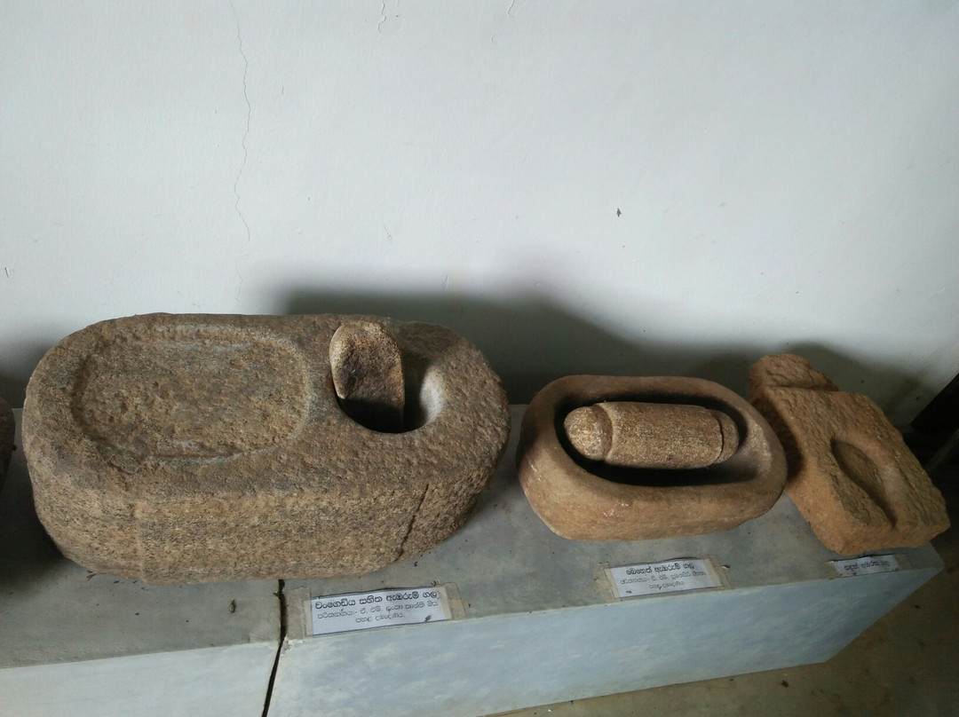 Dambadeniya Ancient Kingdom Museum景点图片