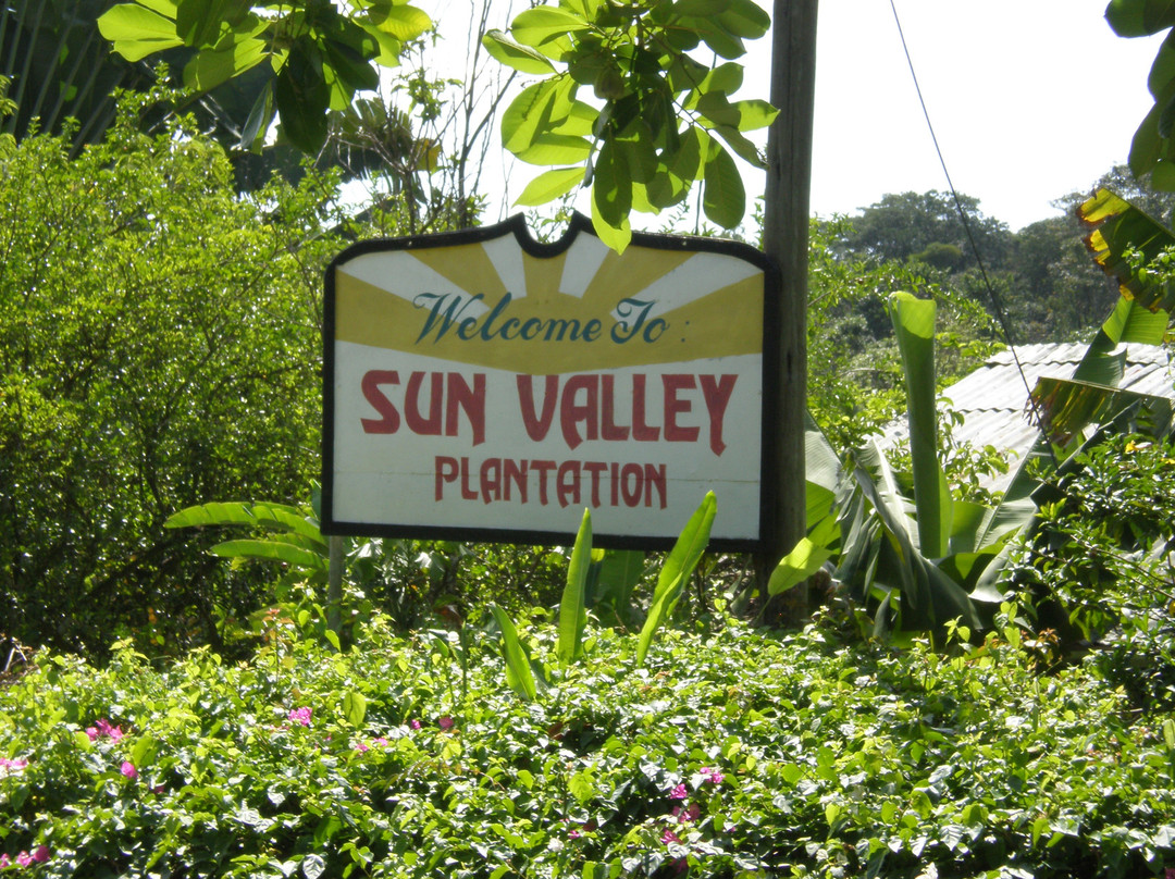 Sun Valley Plantation Hummingbird Garden景点图片