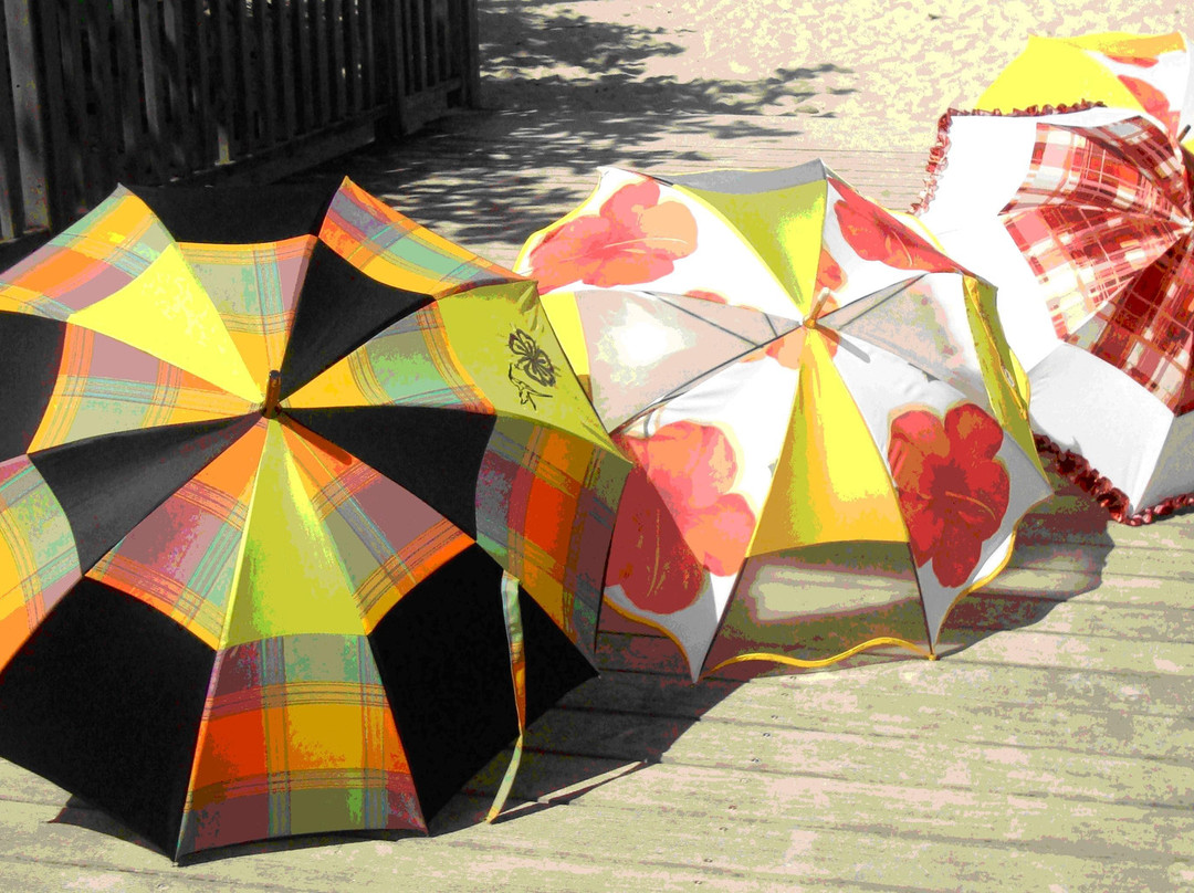 Tournicoti Parapluie景点图片