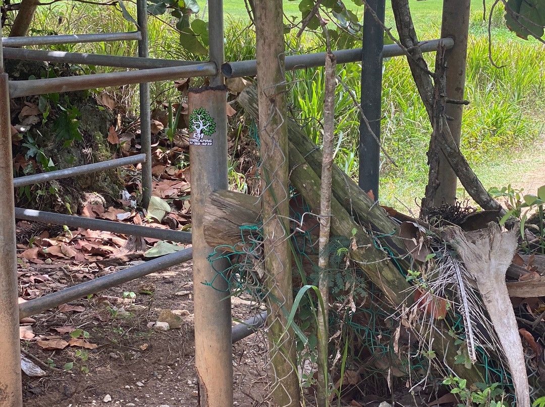 Piscinas Naturales-Manati必去景点