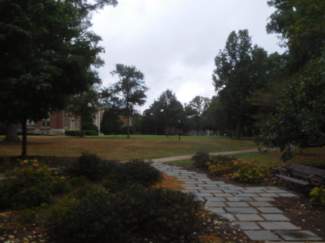 Davidson College景点图片