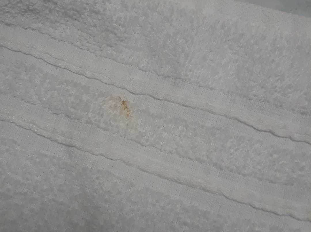 Royal Inn Motel主图