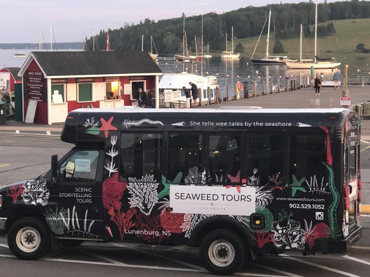 Seaweed Tours Inc-卢嫩堡必去景点