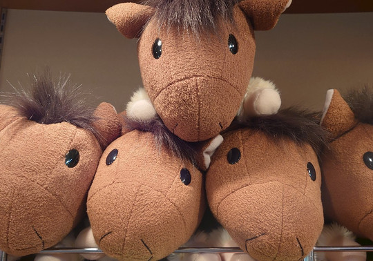 Michi-no-Eki Thoroughbred Road Niikappu-新冠町必去景点