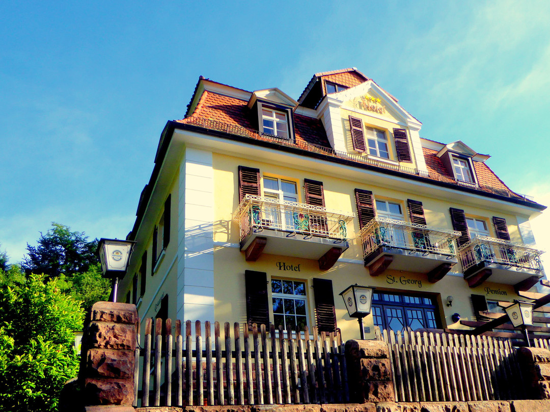 Rhöen Hotel Waldcafé St. Georg主图