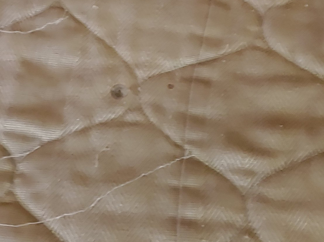 Radiance Inn And Suites主图