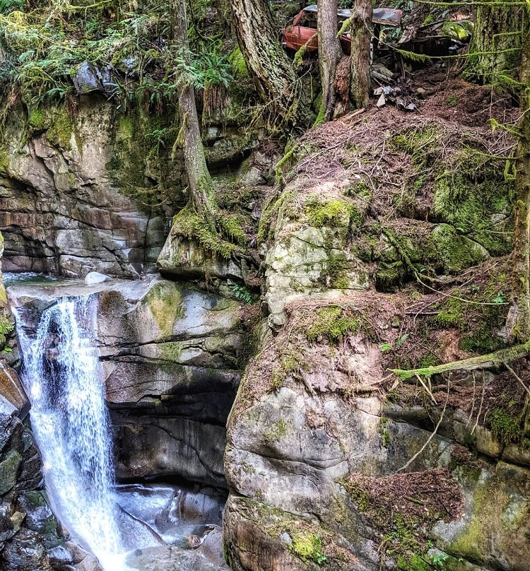 Cypress Falls Park景点图片