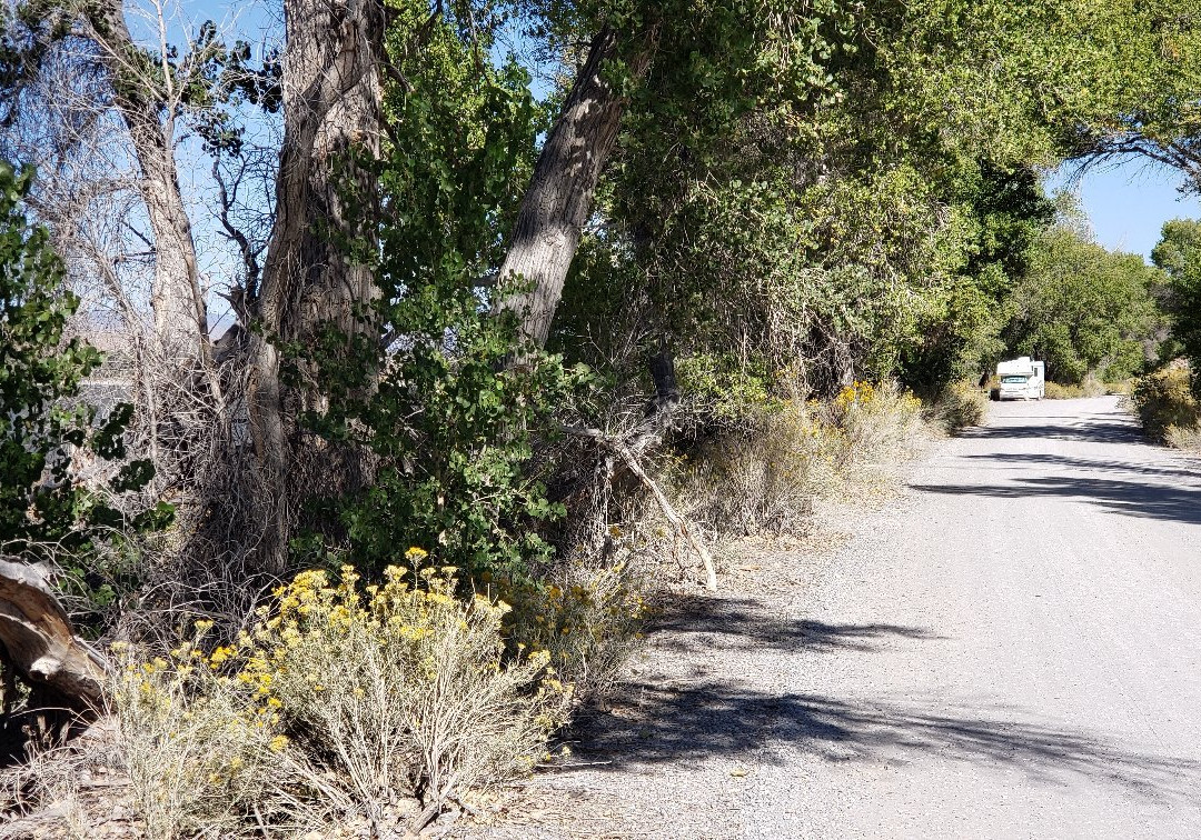 Pahranagat National Wildlife Refuge景点图片