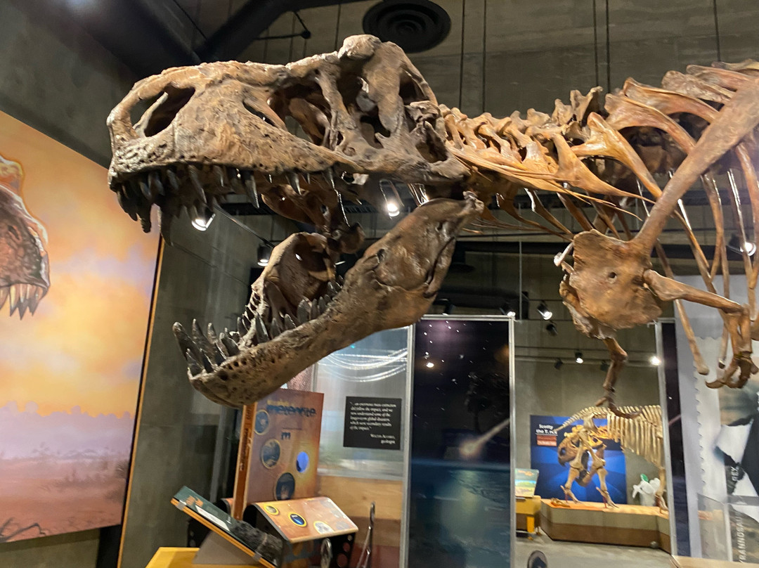 T. rex Discovery Centre景点图片