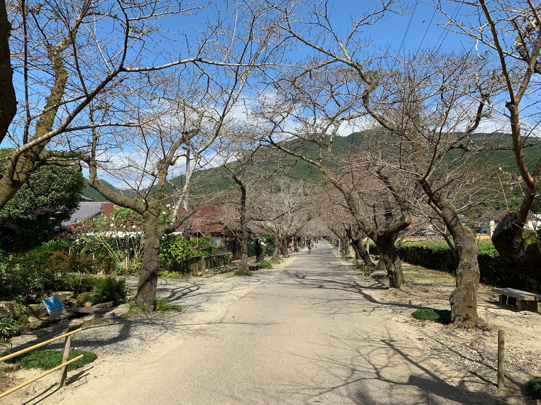 Akizukisugi no Baba-朝仓市必去景点