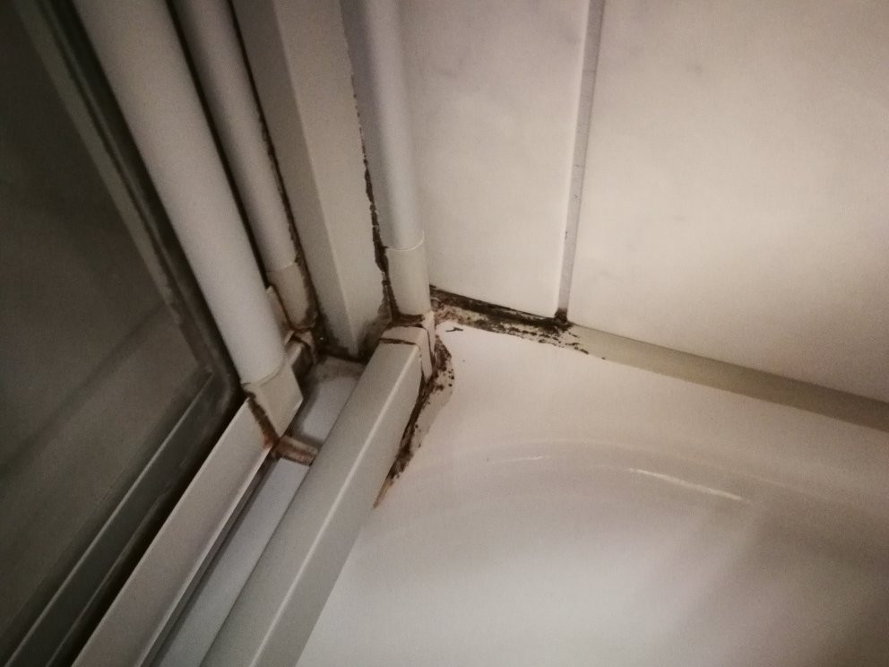 Zum treuen Bartel主图