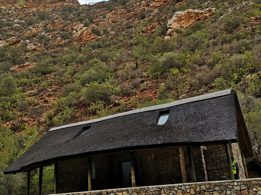 Meiringspoort Pass-德鲁必去景点
