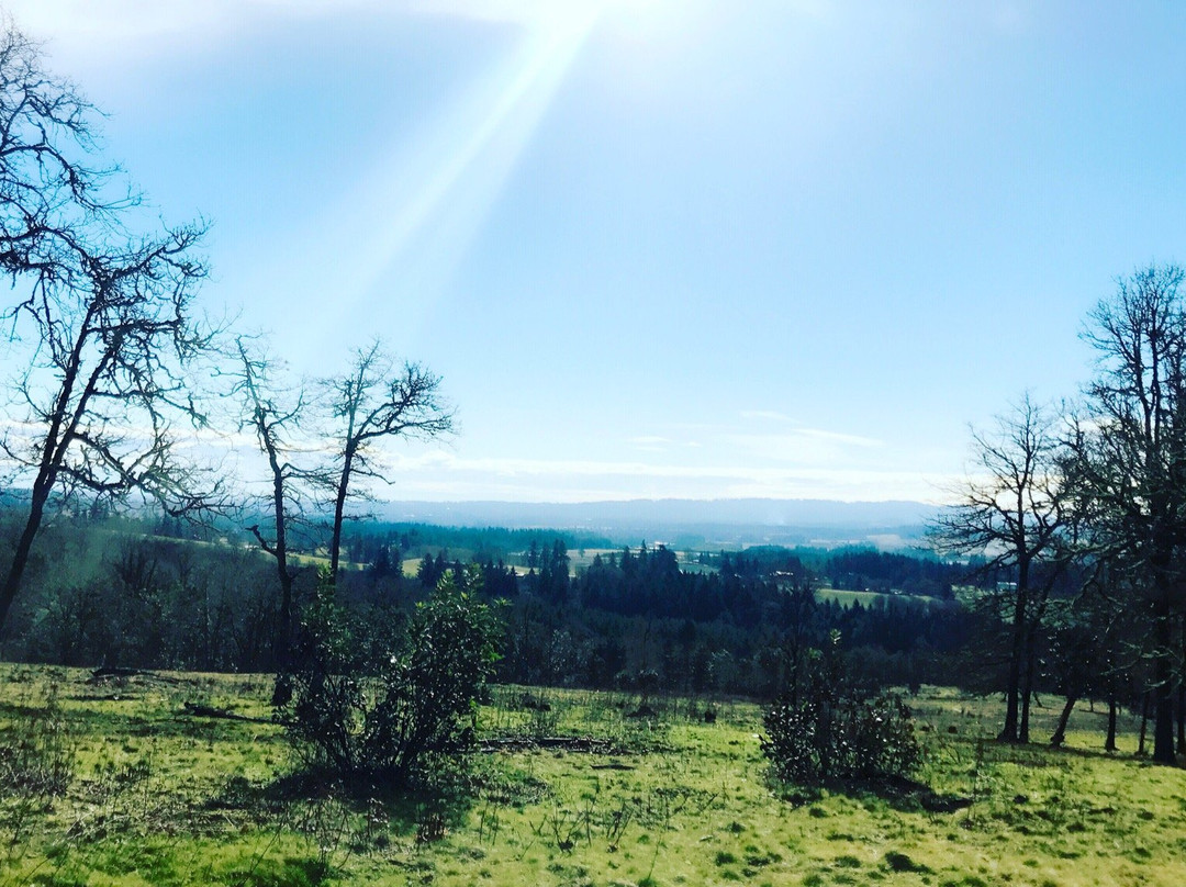 比弗顿旅游景点-Cooper Mountain Nature Park