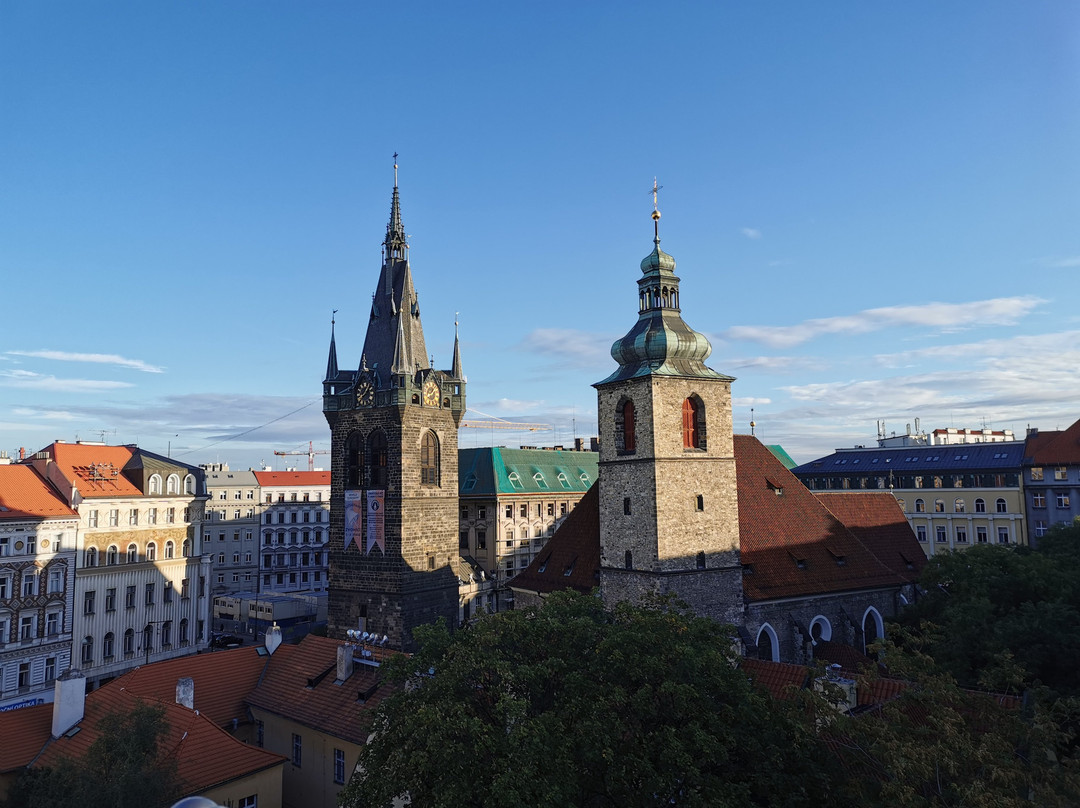 Rosemary Hostel主图