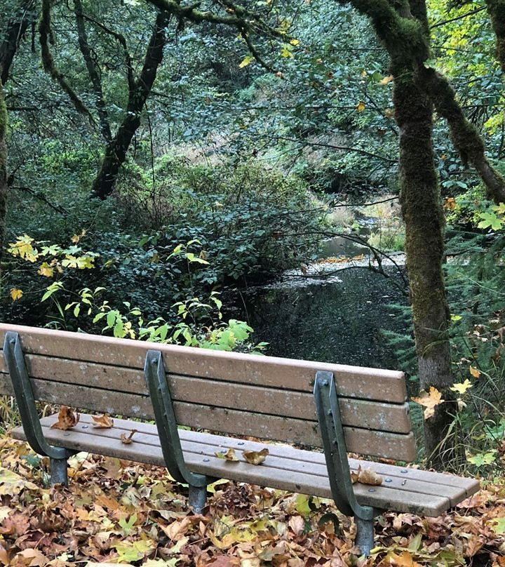 Crown Zellerbach Trail景点图片
