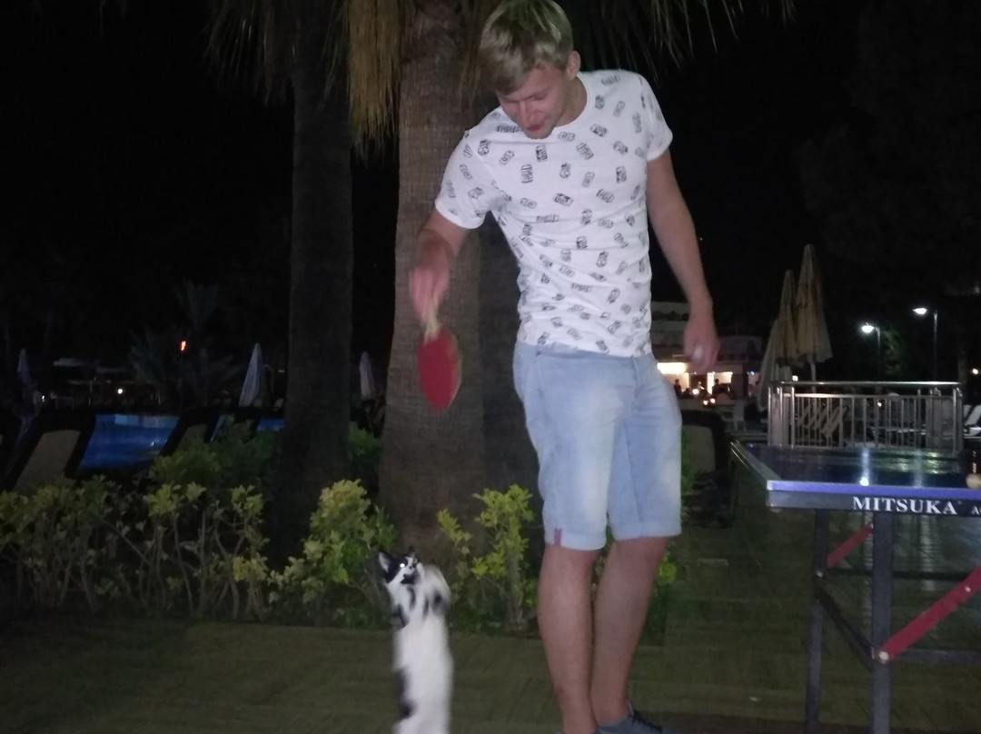 Fame Residence Goynuk主图