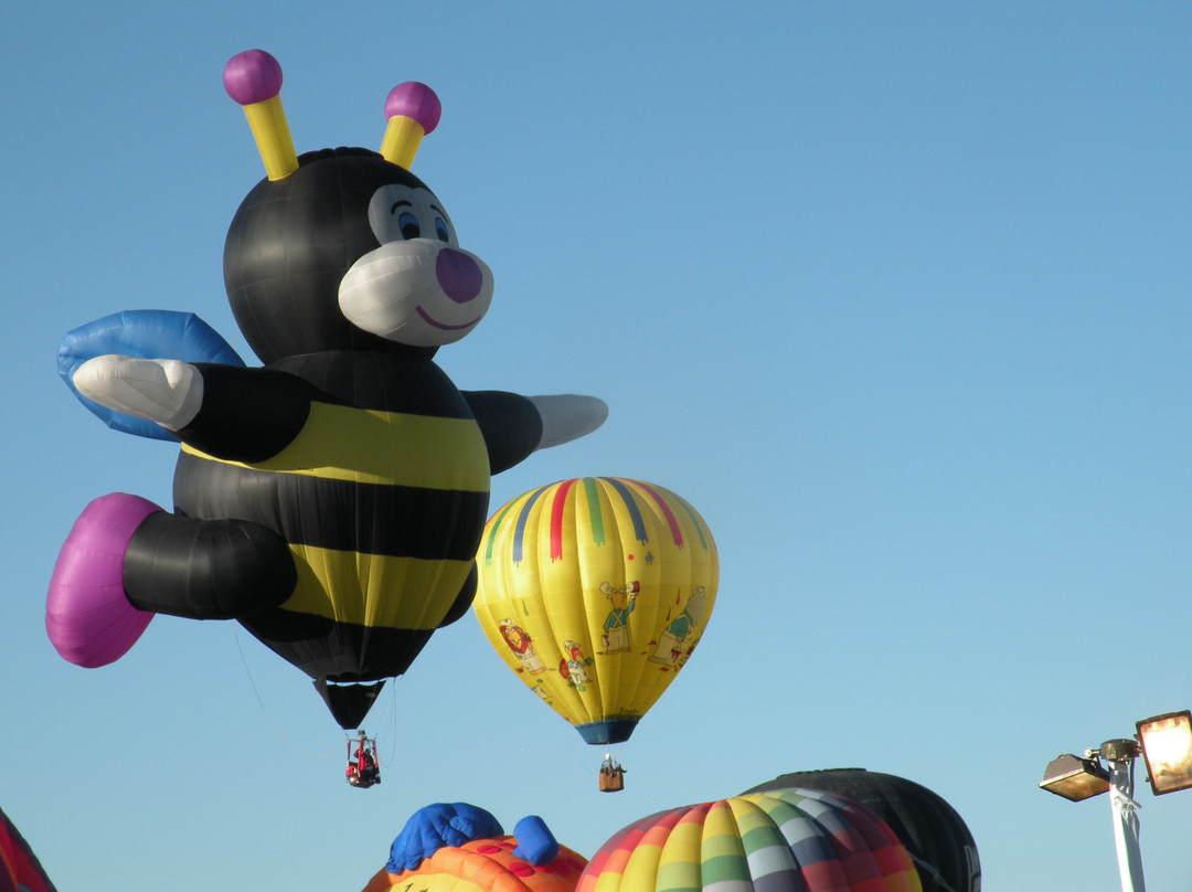 Anderson-Abruzzo International Balloon Museum景点图片