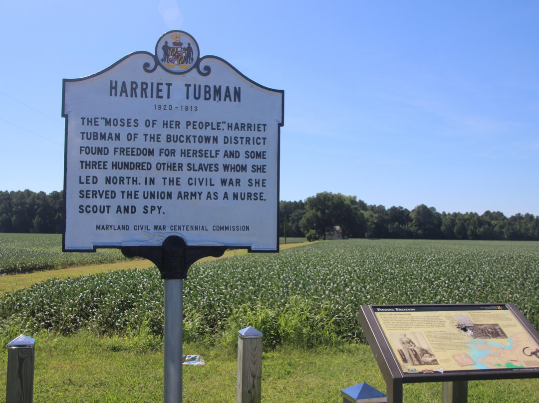 Harriet Tubman Birthplace Marker景点图片