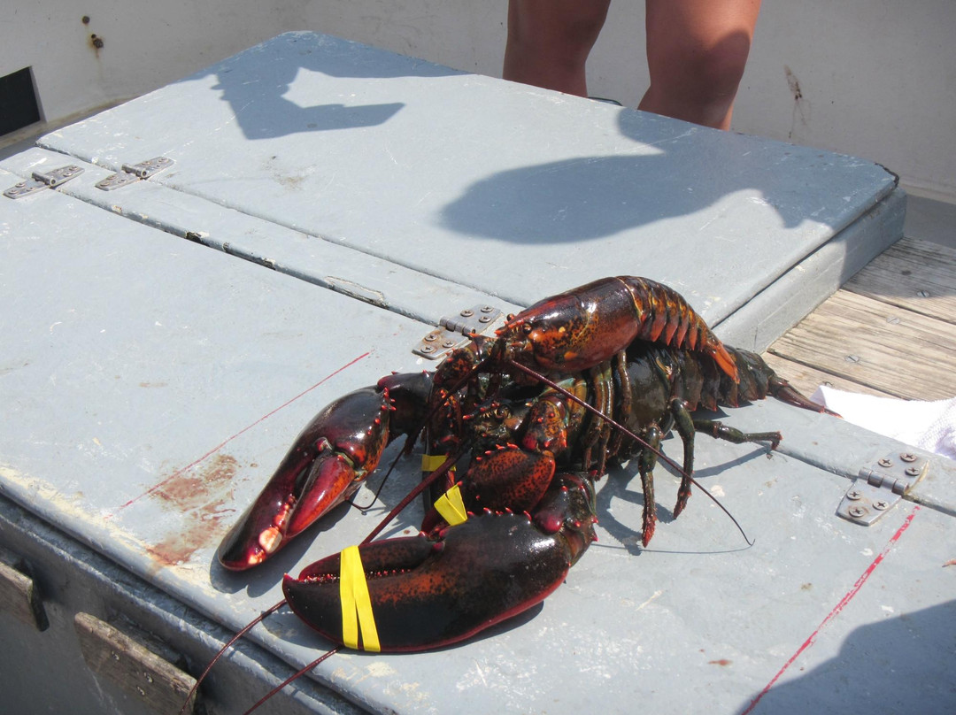 Acadia Fishing Tours景点图片