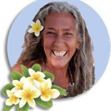 Elf's Custom Island Adventures-瓦胡岛必去景点