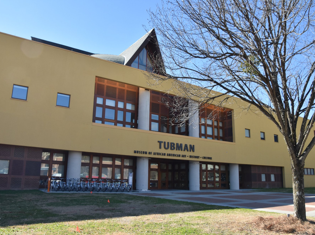 Tubman Museum景点图片