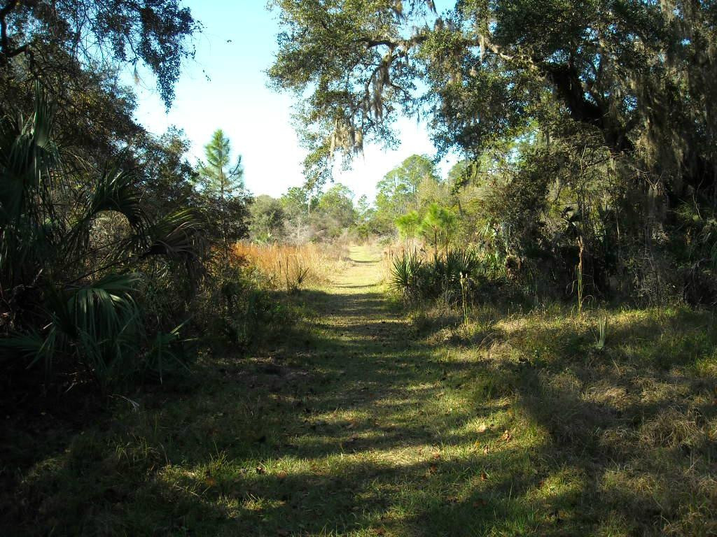 Crystal River Preserve State Park Eco-Walk景点图片