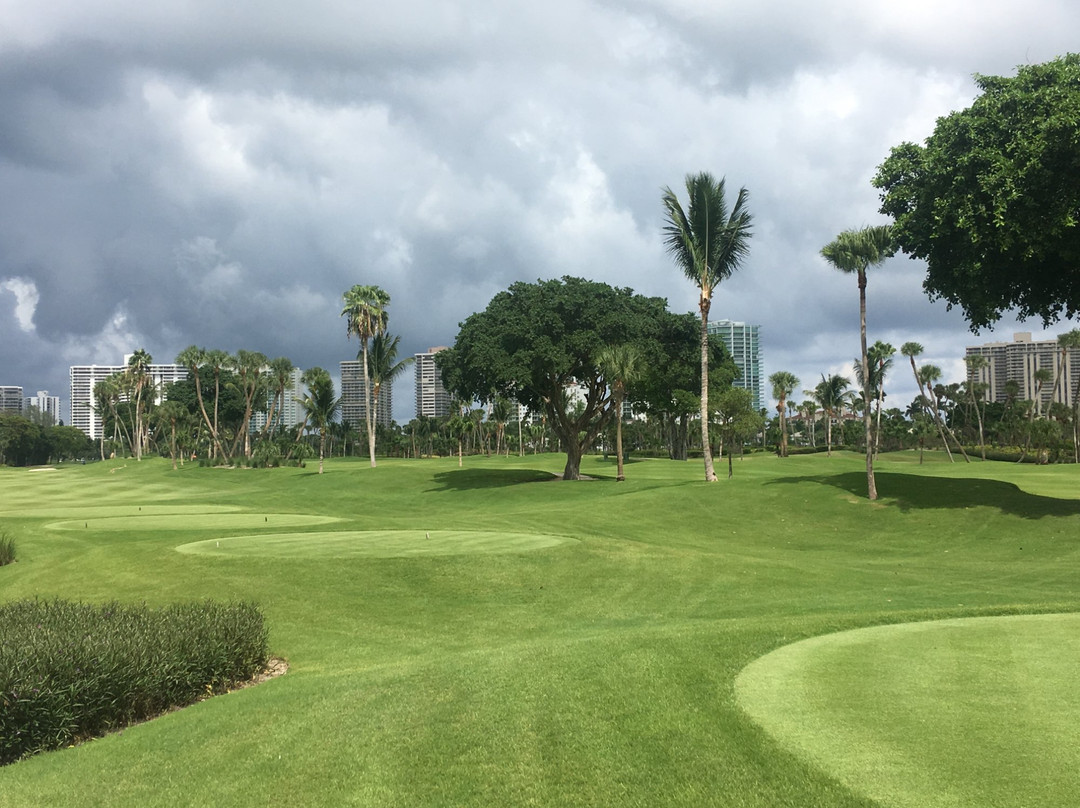 Jw Marriott Miami Turnberry Resort & Spa Golf Course-阿文图拉必去景点