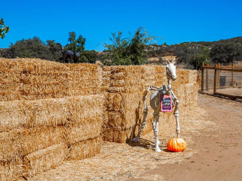 Alpine Acres Sanctuary Farm