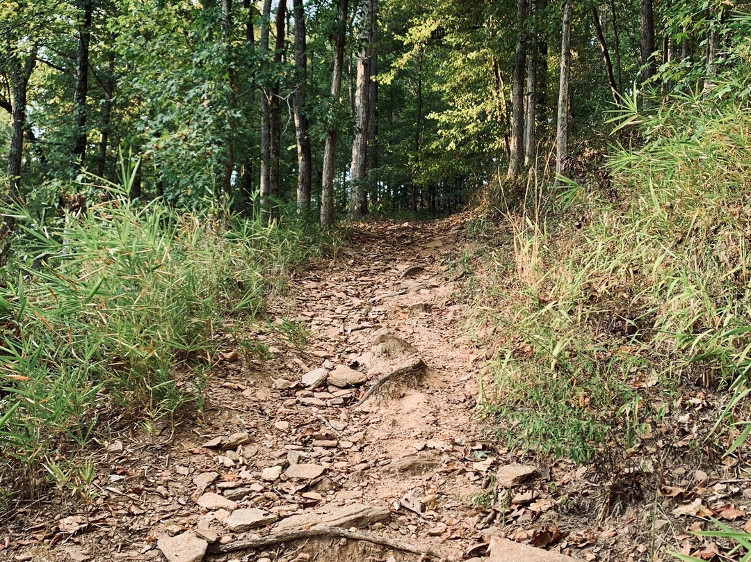 Sprewell Bluff Park-Thomaston必去景点