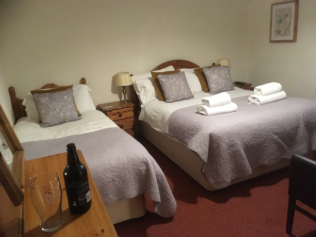 Bryn Eisteddfod Country House主图