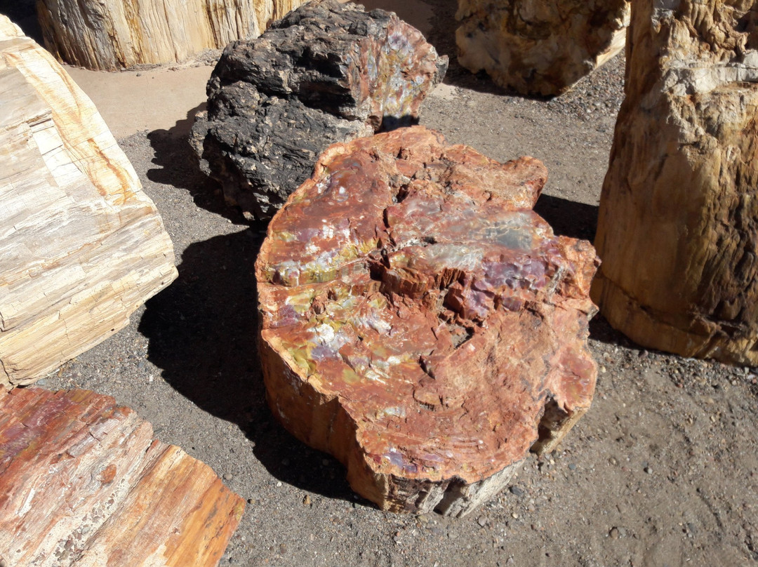 Snowflake旅游景点-DoBell Ranch