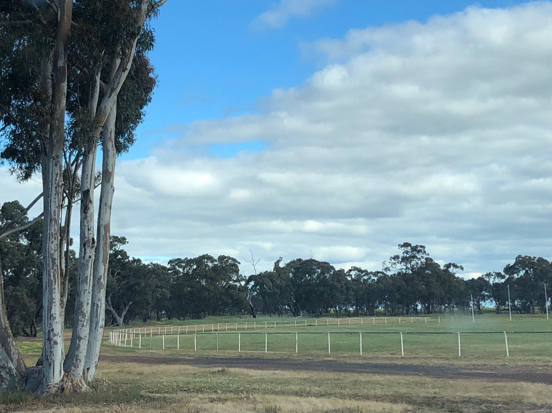 Goroke Little Desert Nature Playspace-Minimay必去景点