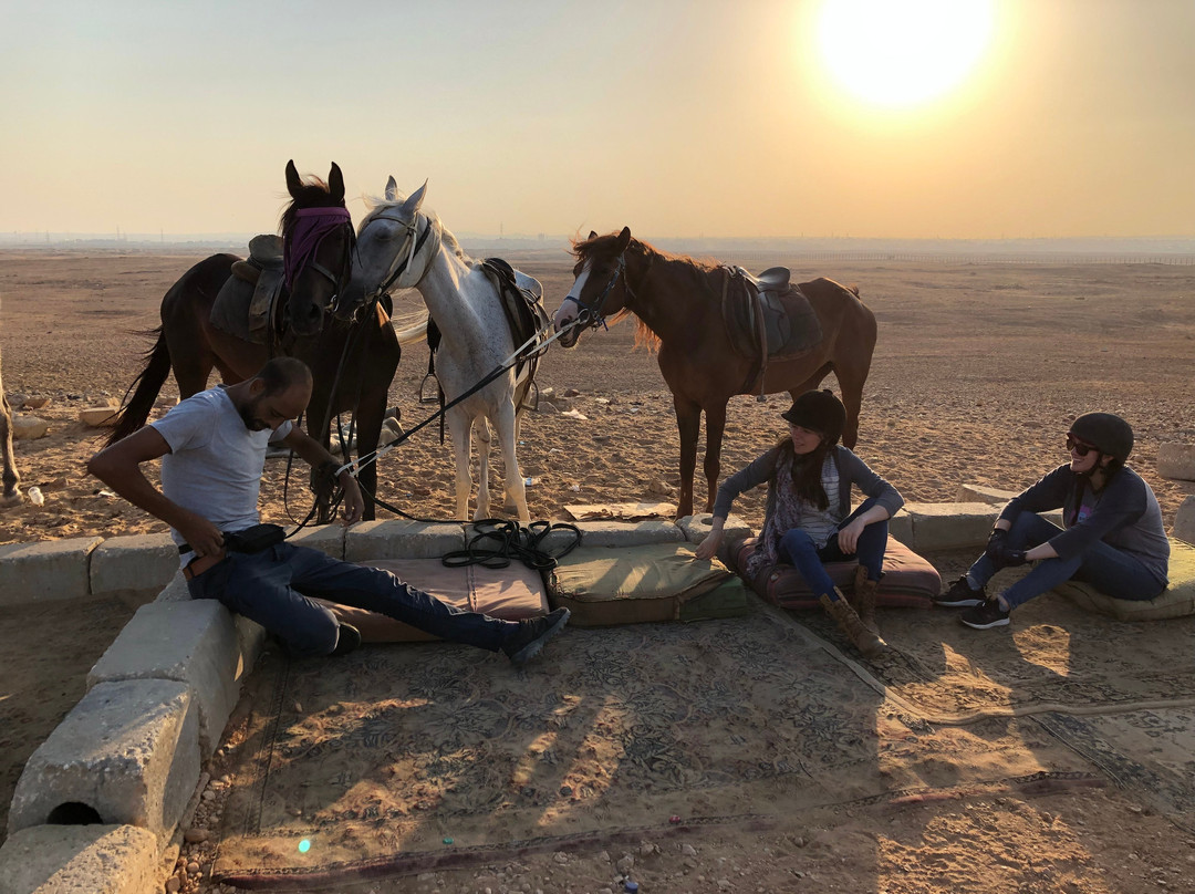 Cairo Horse Riding School-吉萨必去景点