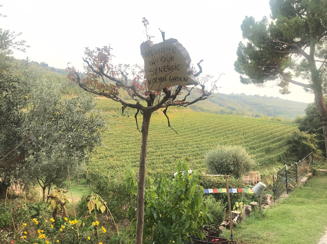 Massimago Winery景点图片