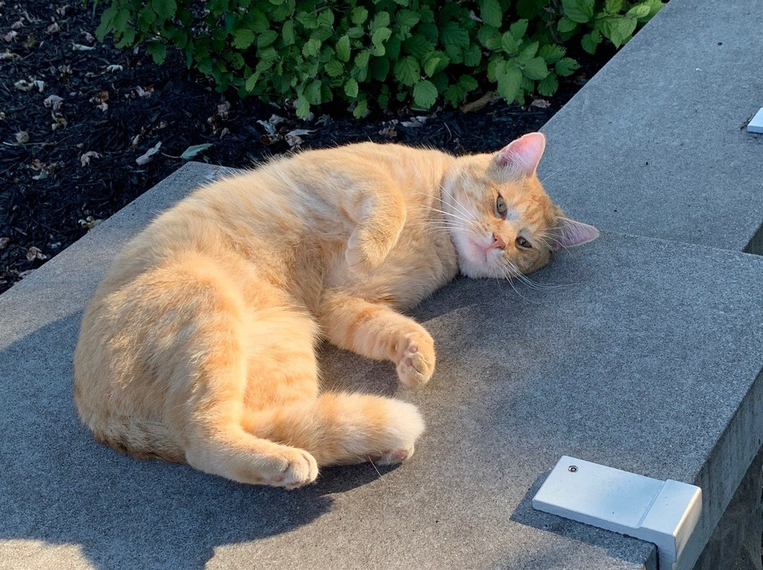 La Grange Kentucky Main Street Welcome Center-La Grange必去景点