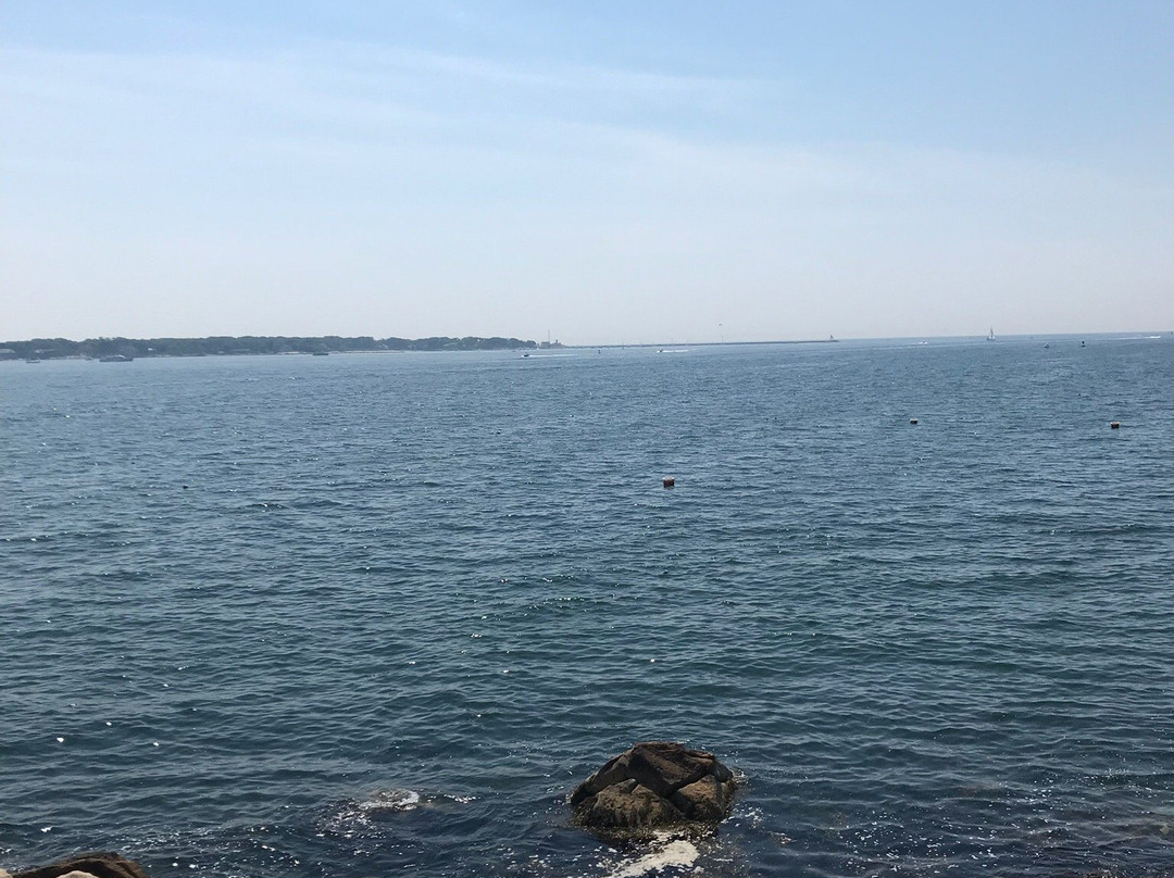 Half Moon Beach景点图片