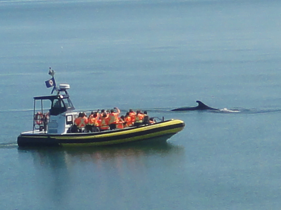 Croisières Aml | Rivière-du-loup-Riviere du Loup必去景点