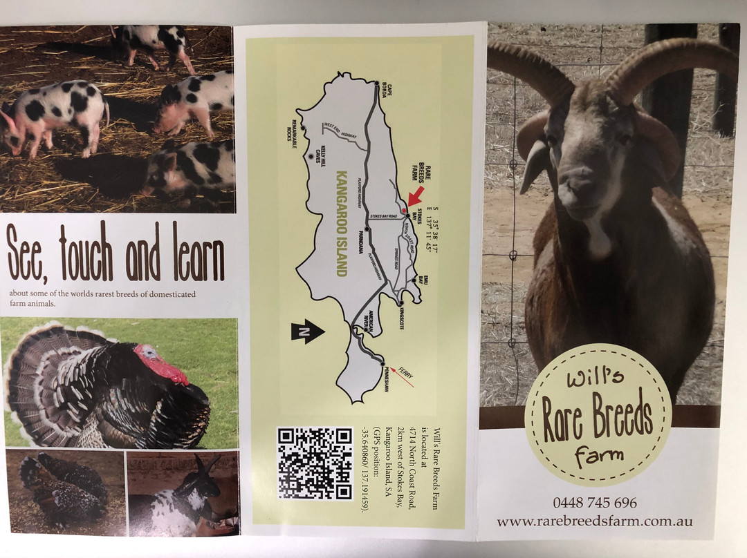 Will's Rare Breeds Farm-Stokes Bay必去景点