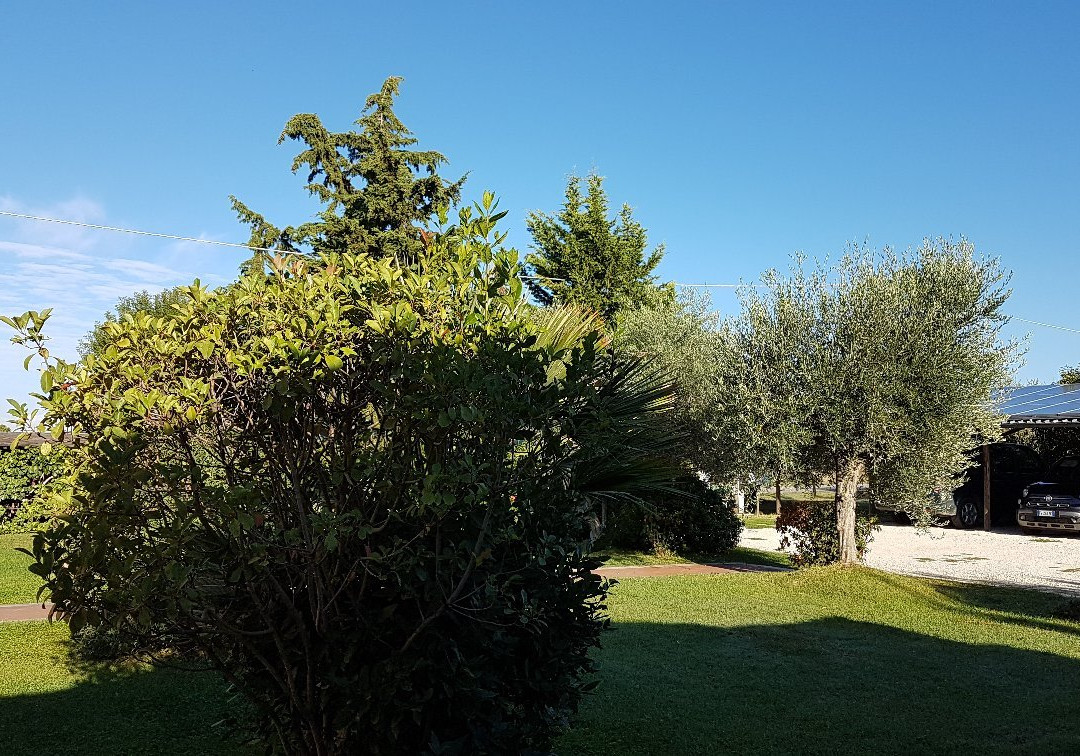 Agriturismo Poggio Alle Calle主图